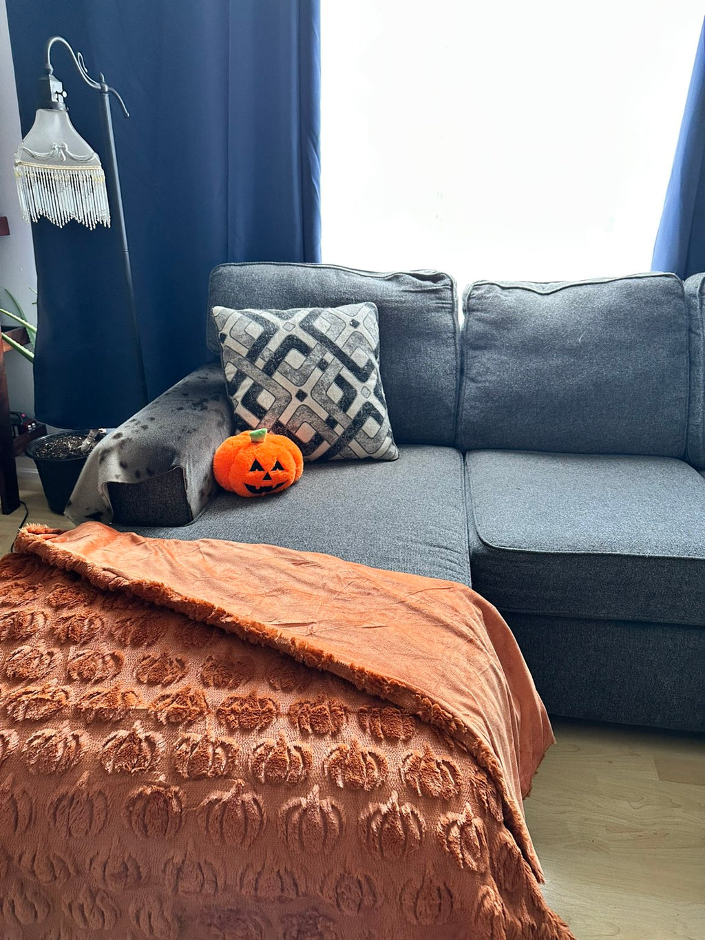 3D Plush Pumpkin Blanket
