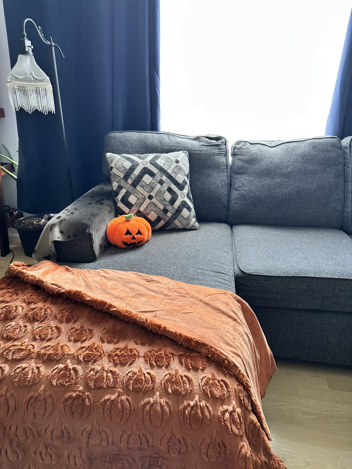 3D Plush Pumpkin Blanket