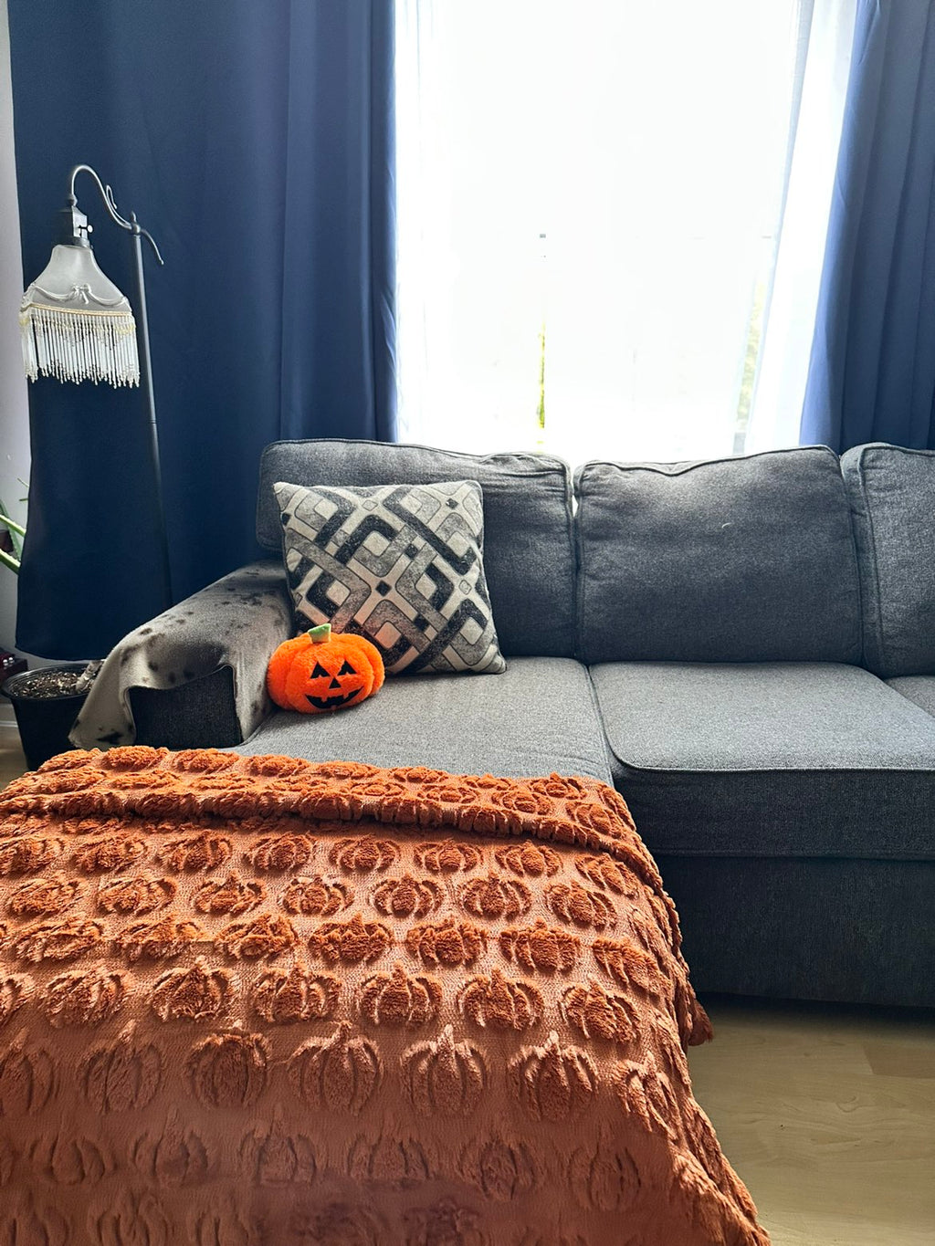 3D Plush Pumpkin Blanket